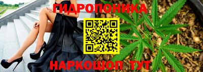 ПСИЛОЦИБИНОВЫЕ ГРИБЫ Шебекино
