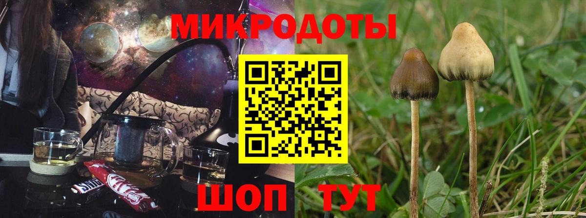Галлюциногенные грибы ЛСД  Вход с VPN  Псилоцибиновые грибы мицелий  Рязань 